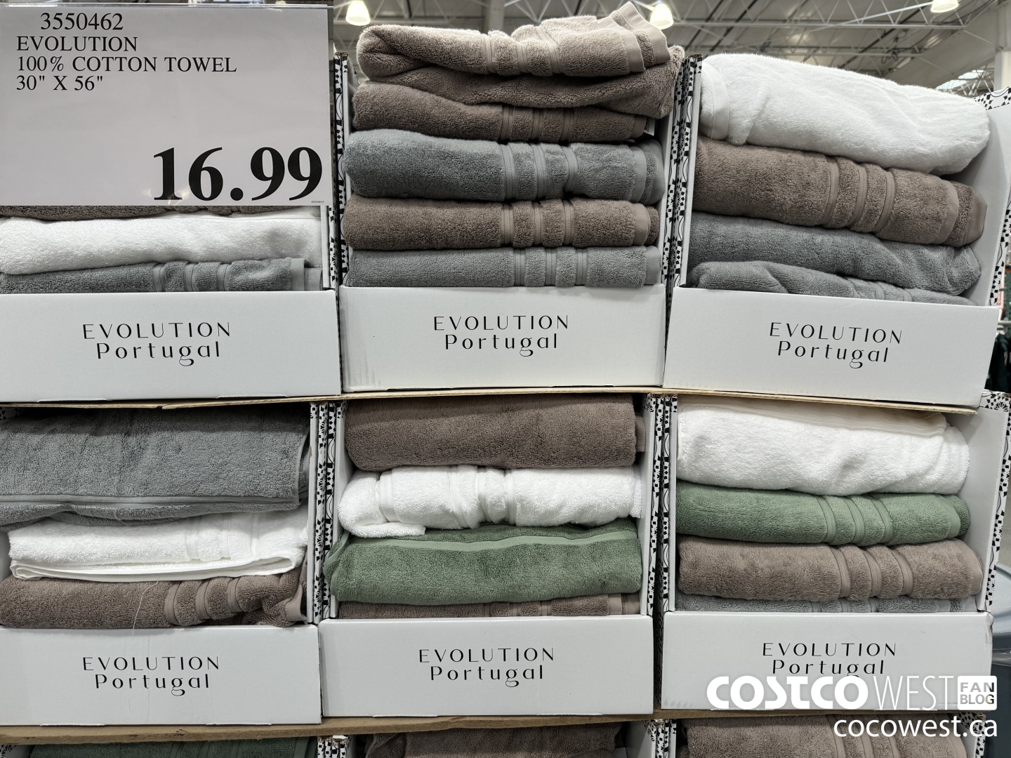 3550462 EVOLUTION 100% COTTON TOWEL 30