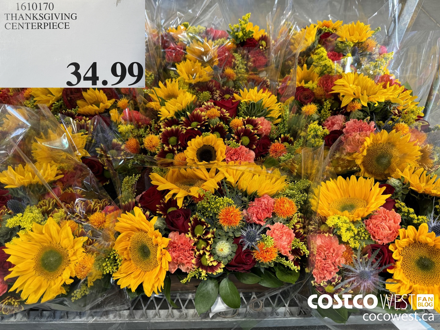 1610170 THANKSGIVING CENTERPIECE  $34.99