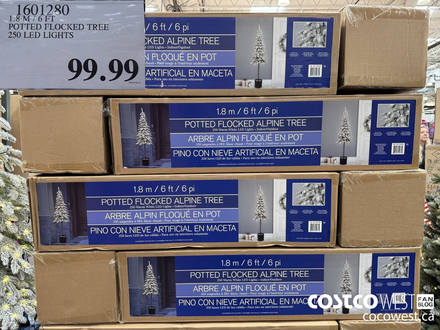 1601280 1.8M / 6 FT POTTED FLOCKED TREE 250 LEG LIGHTS $99.99