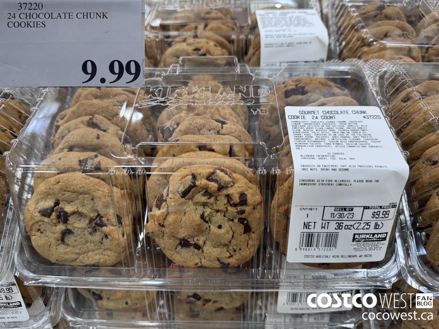 37220 24 CHOCOLATE CHUNK COOKIES $9.99