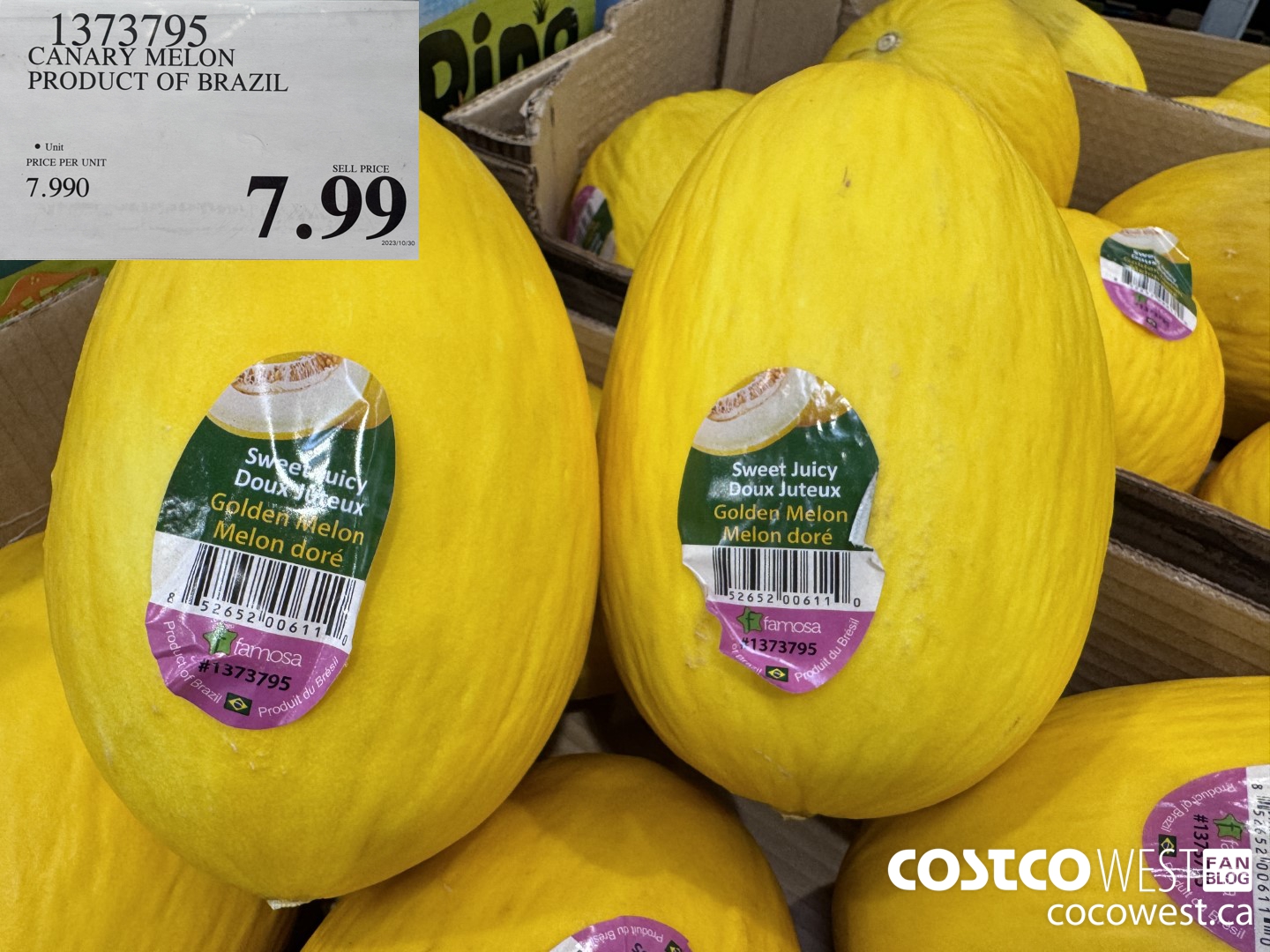 1373795 CANARY MELON PRODUCT OF BRAZIL  $7.99