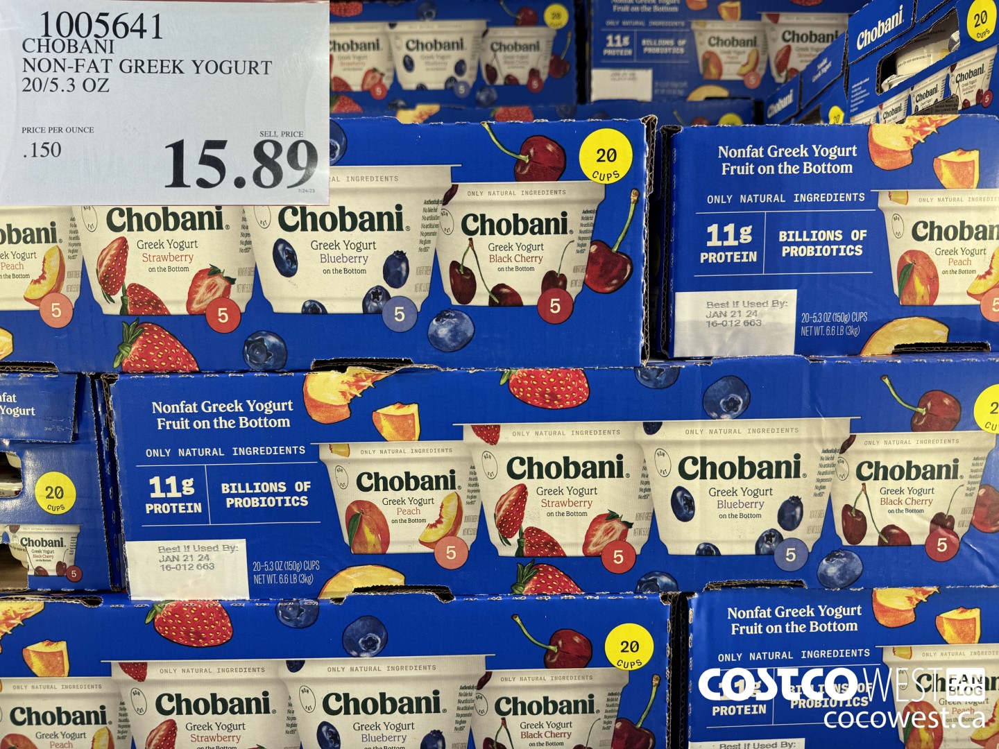 1005641 CHOBANI NON-FAT GREEK YOGURT 20/5.3 OZ $15.89