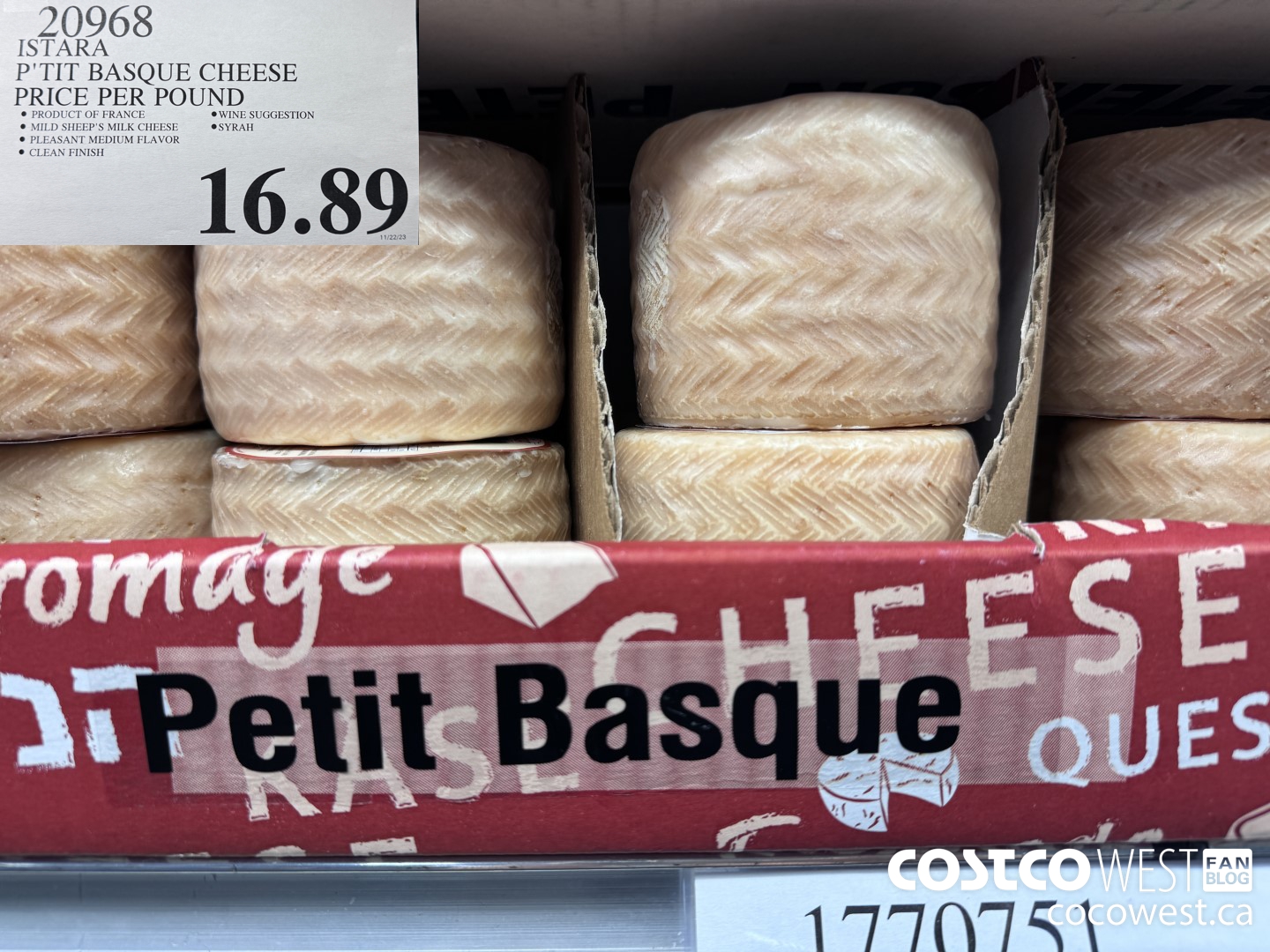 20968 ISTARA P'TIT BASQUE CHEESE PRICE PER POUND $16.89