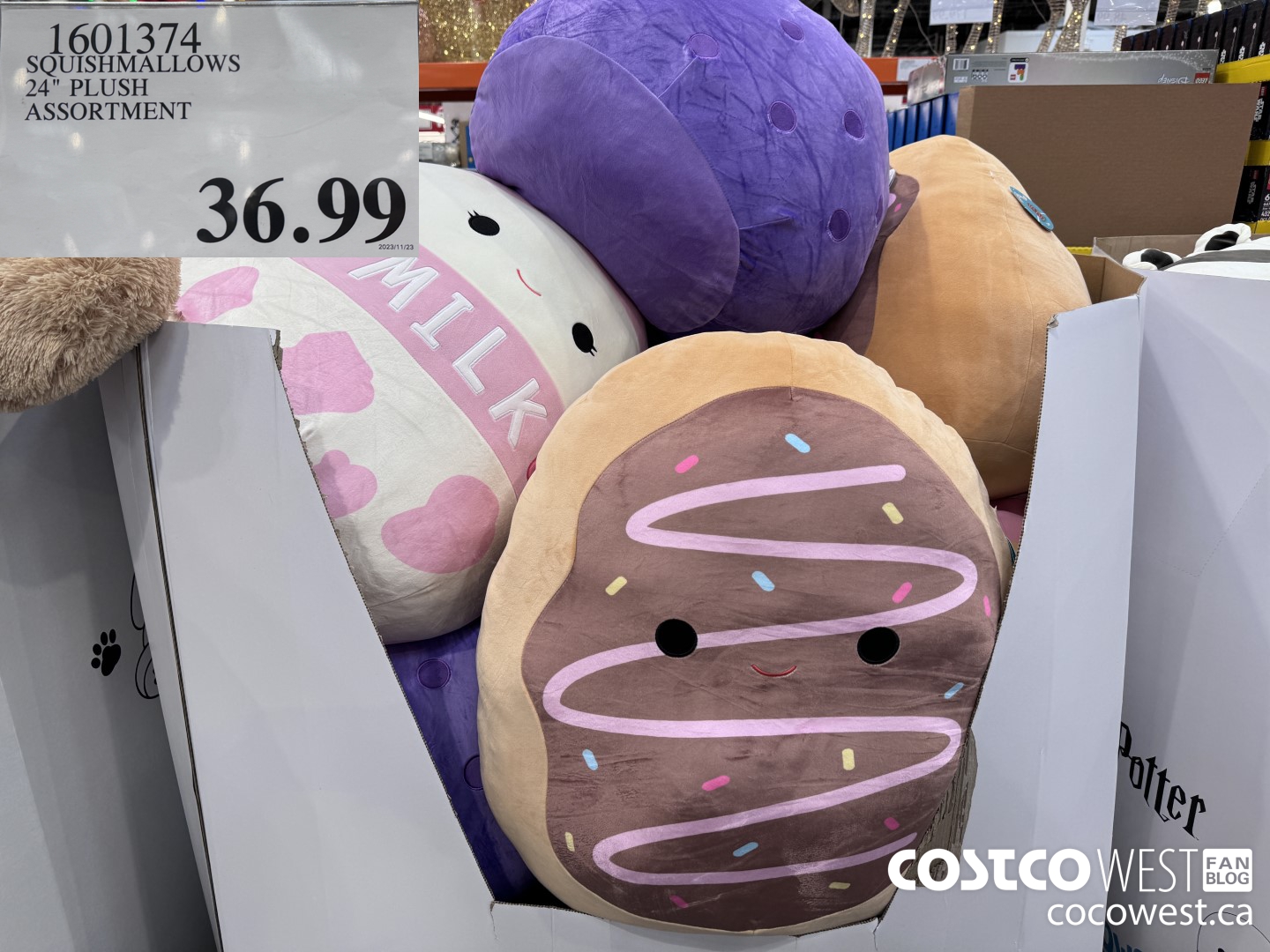 1601374 SQUISHMALLOWS 24