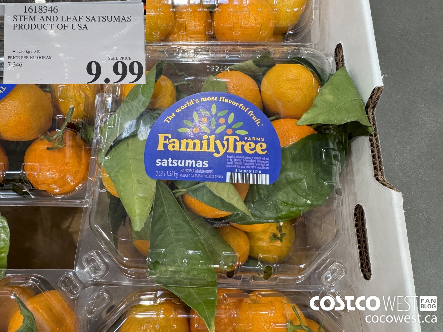 1618346 STEM AND LEAF SATSUMAS PRODUCT OF USA $9.99