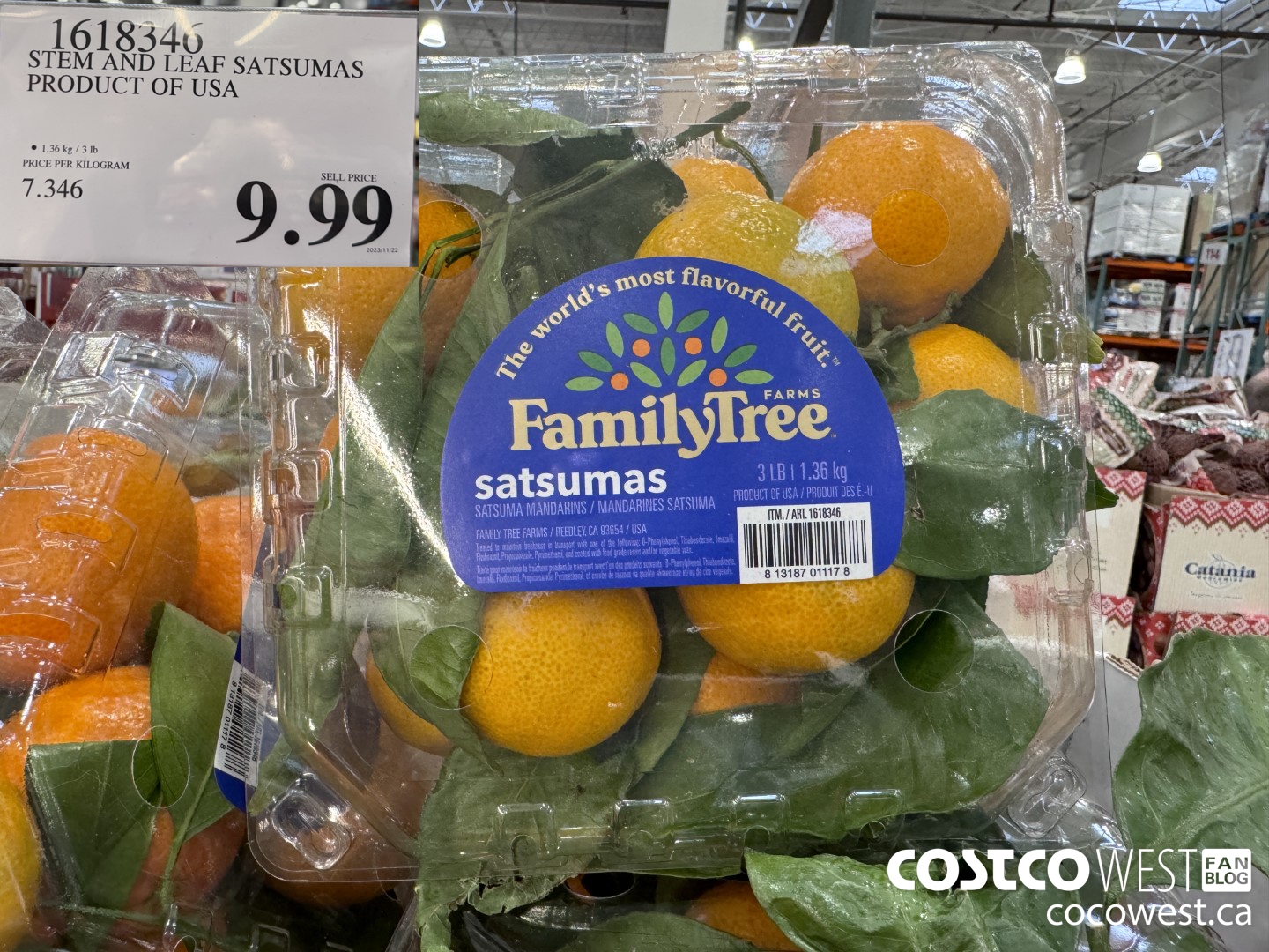 1618346 STEM AND LEAF SATSUMAS PRODUCT OF USA $9.99