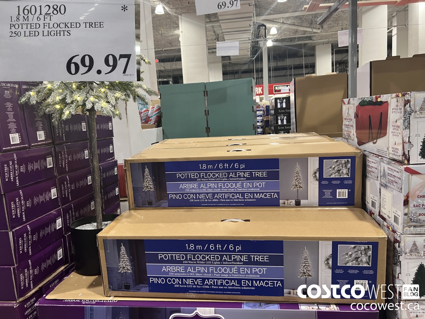 1601280 1.8M / 6 FT POTTED FLOCKED TREE 250 LED LIGHTS $69.97