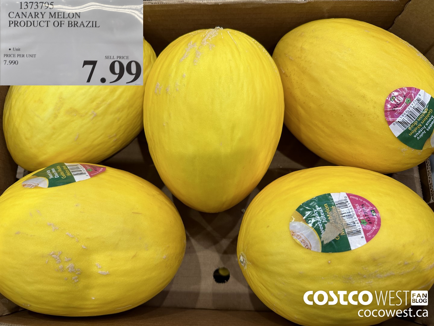 1373795 CANARY MELON PRODUCT OF BRAZIL  $7.99