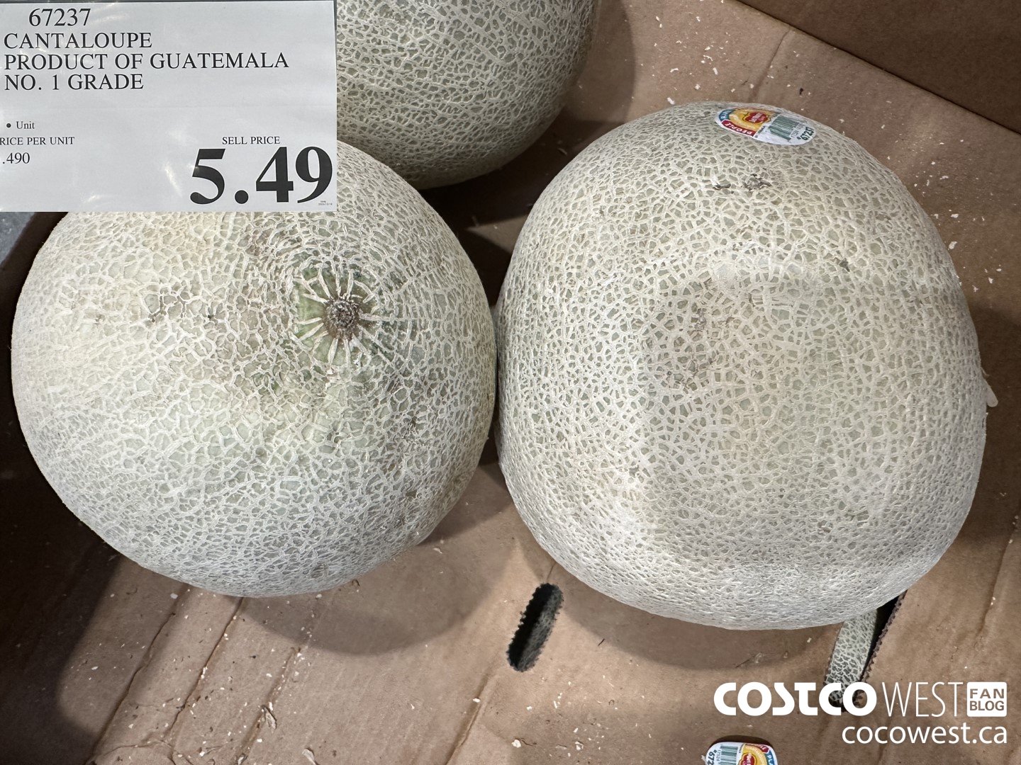 67237 CANTALOUPE PRODUCT OF GUATEMALA NO. 1 GRADE $5.49