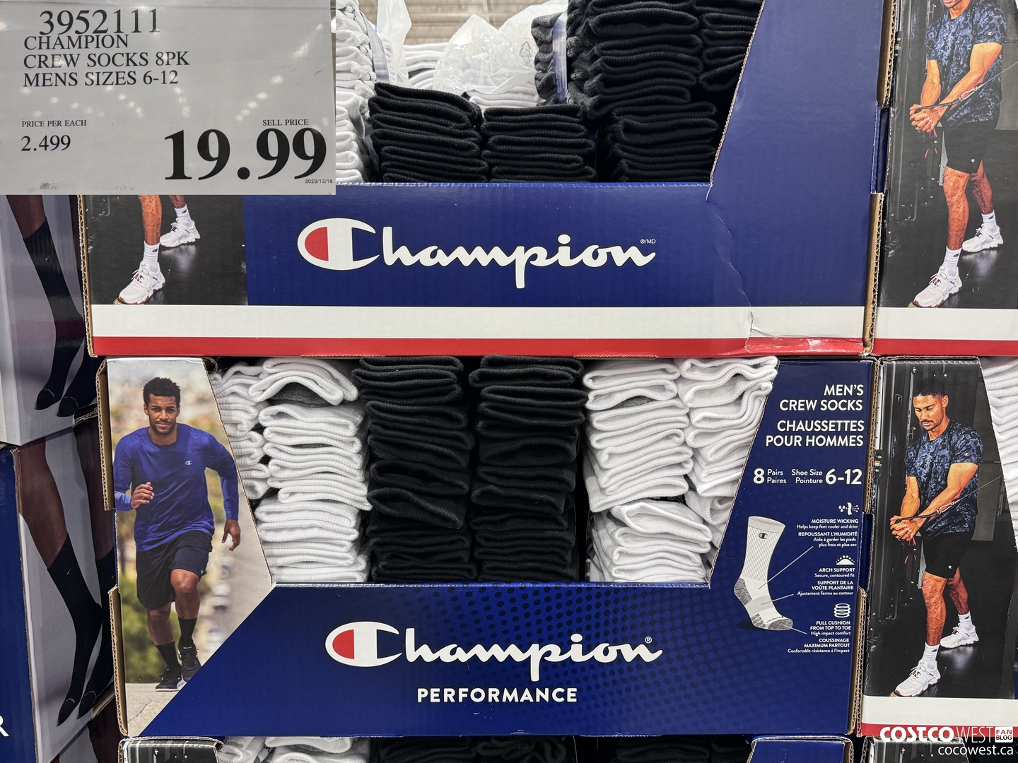 3952111 CHAMPION CREW SOCKS 8PK MENS SIZES 6-12 $19.99