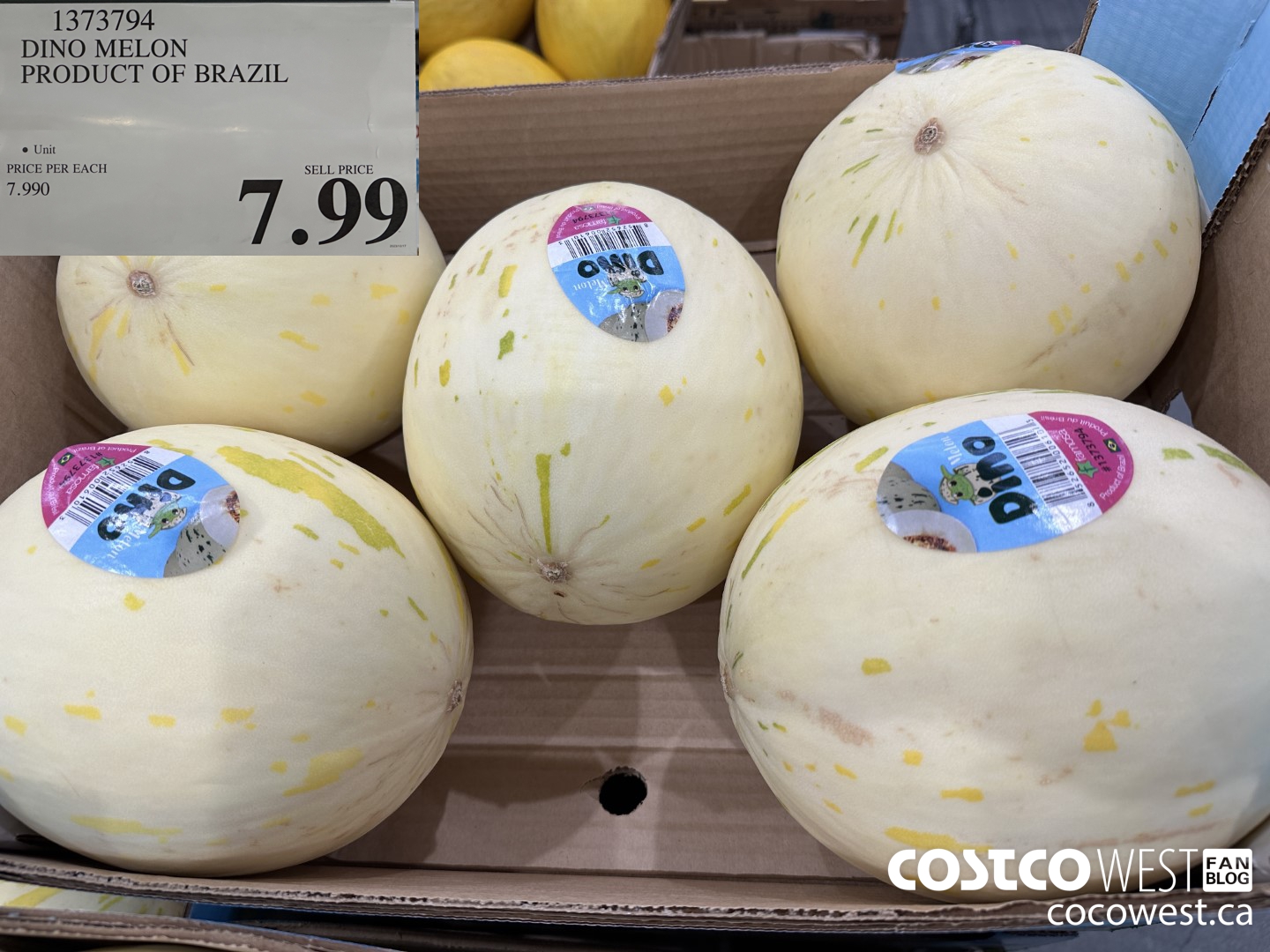 1373794 DINO MELON PRODUCT OF BRAZIL $7.99