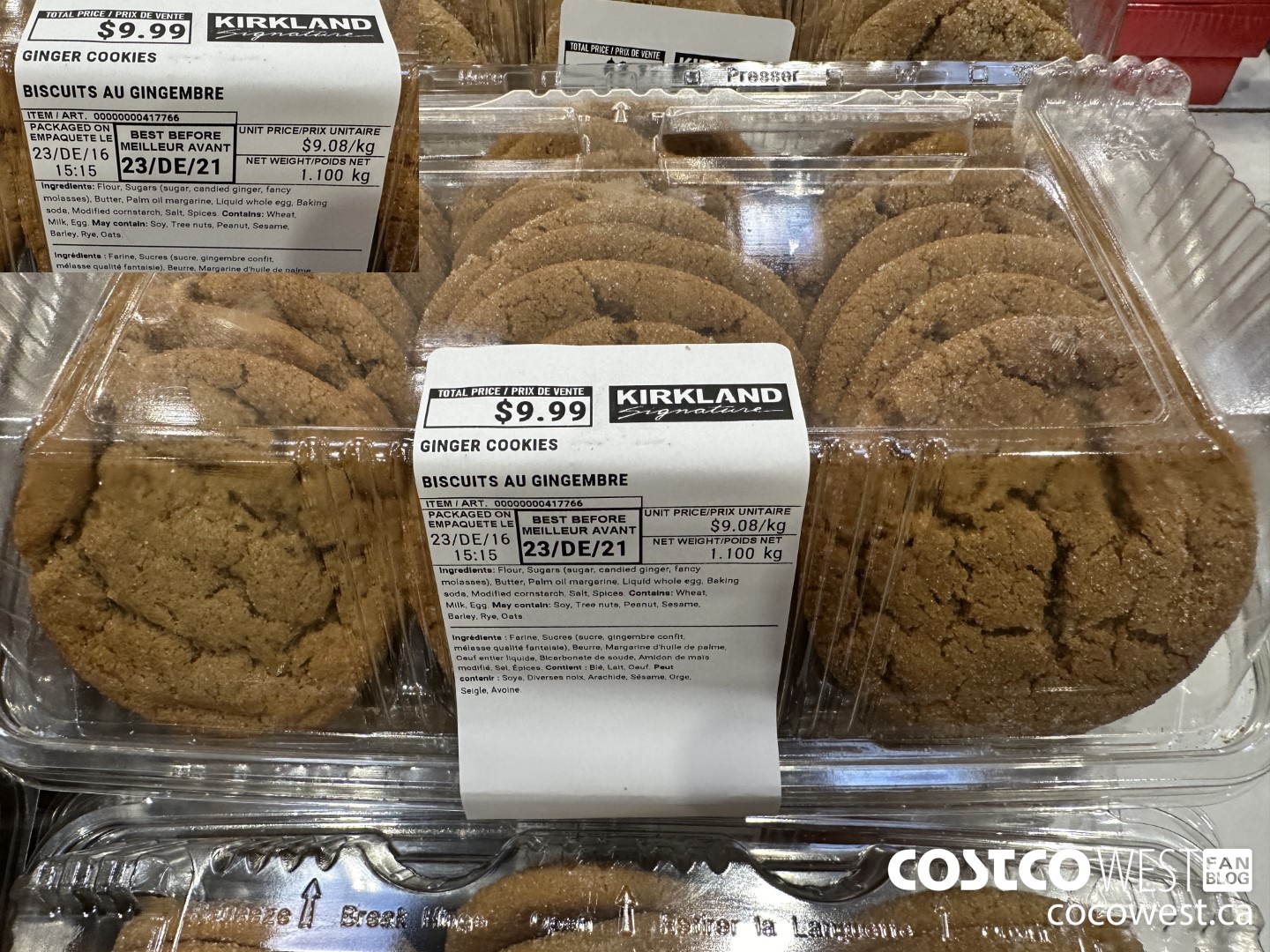 417766 GINGER COOKIES $9.99
