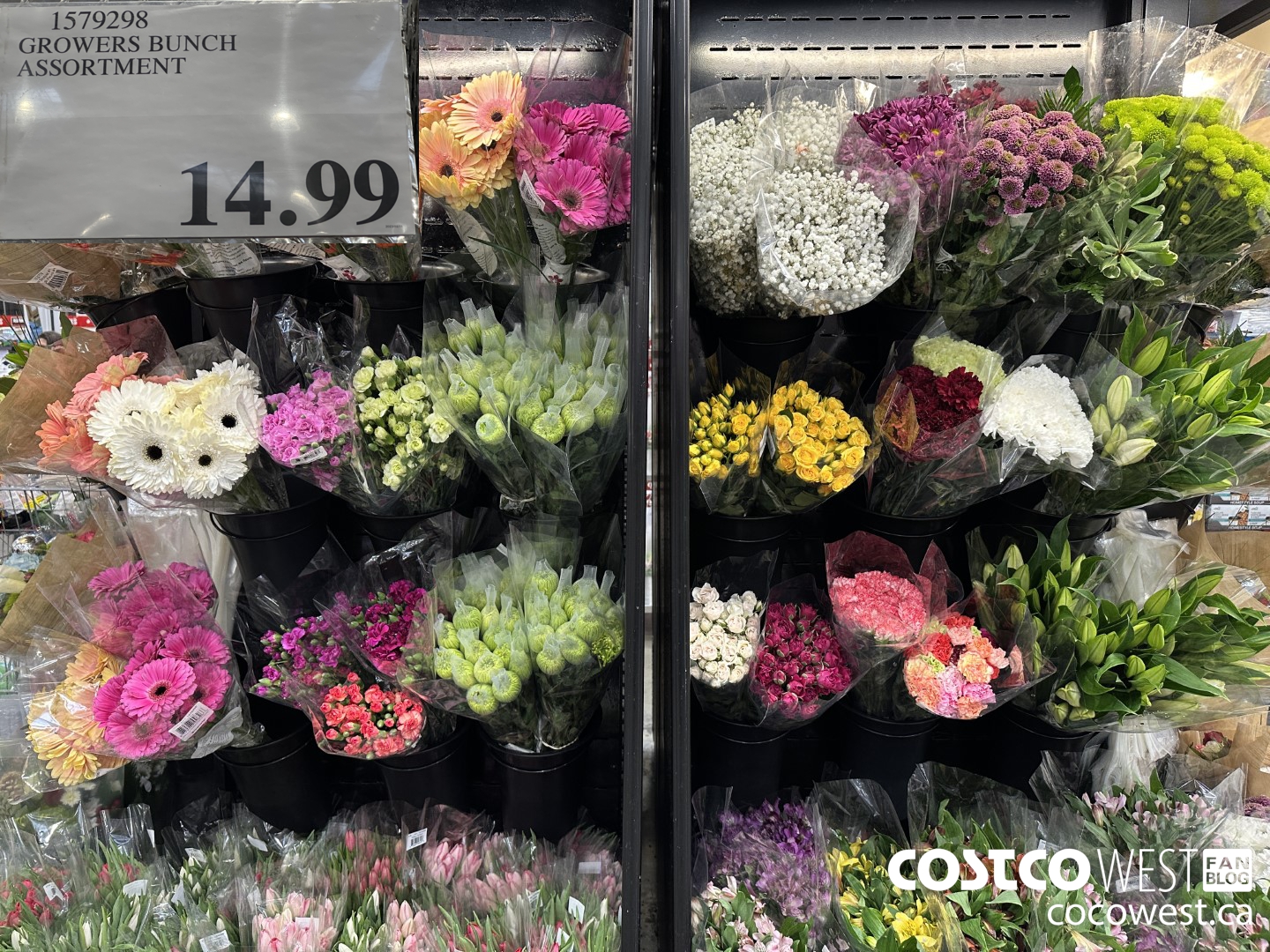 1579298 GROWERS BUNCH ASSORTMENT $14.99