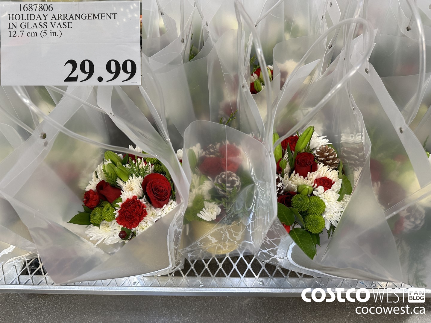 1687806 HOLIDAY ARRANGEMENT IN GLASS VASE 12.7 CM (5 IN.) $29.99