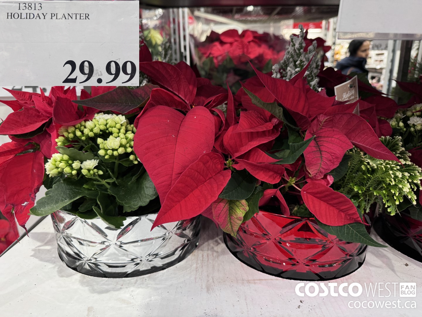 13813 HOLIDAY PLANTER $29.99