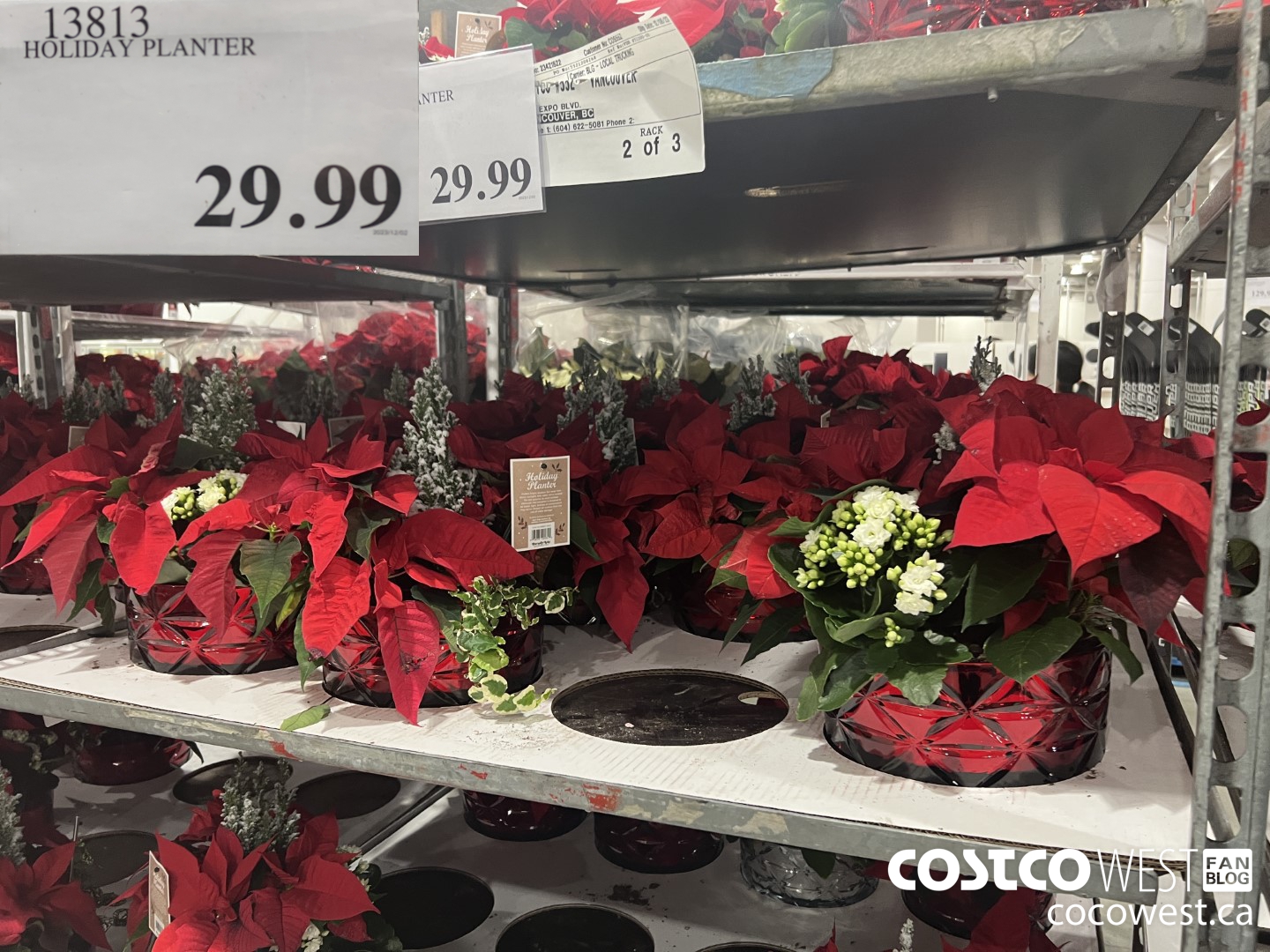 13813 HOLIDAY PLANTER $29.99