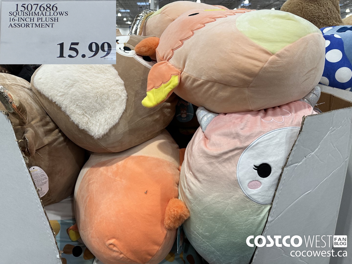 1507686 KELLYTOY SQUISHMALLOWS 16 INCH PLUSH ASSORTMENT $15.99