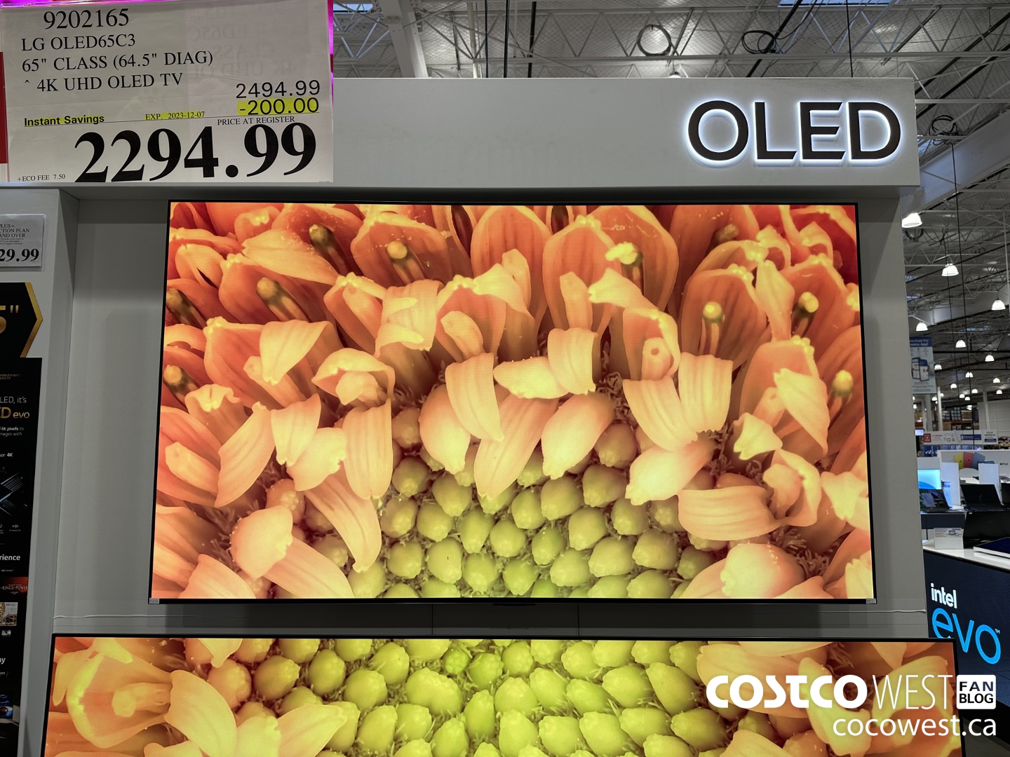 9202165 LG OLED65C3 65