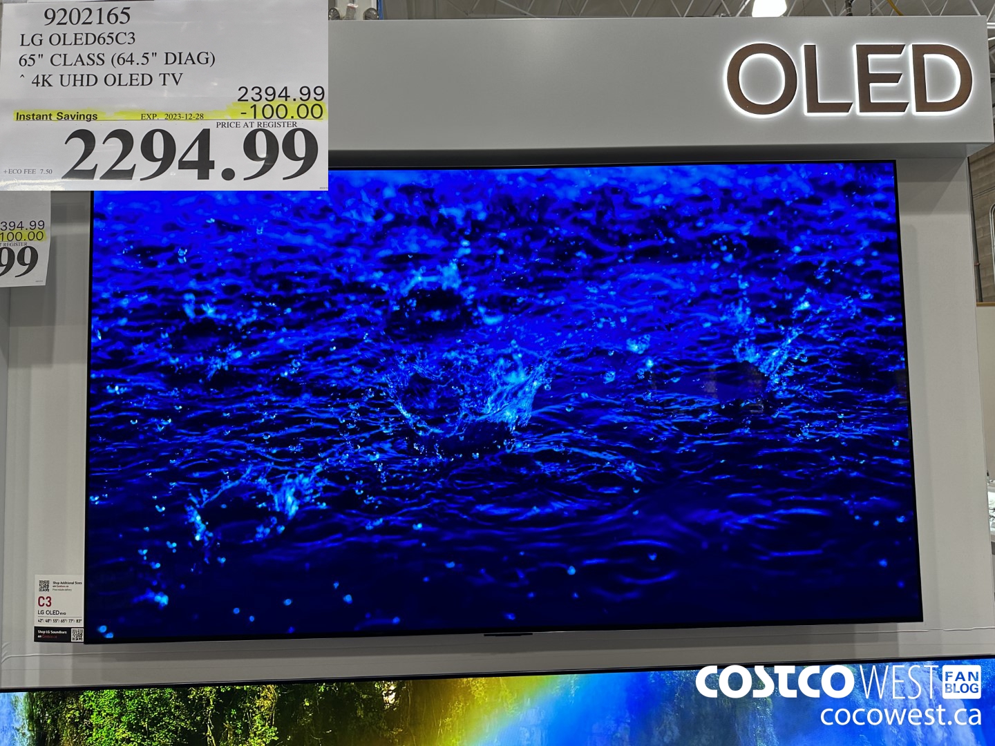 9202165 LG OLED65C3 65