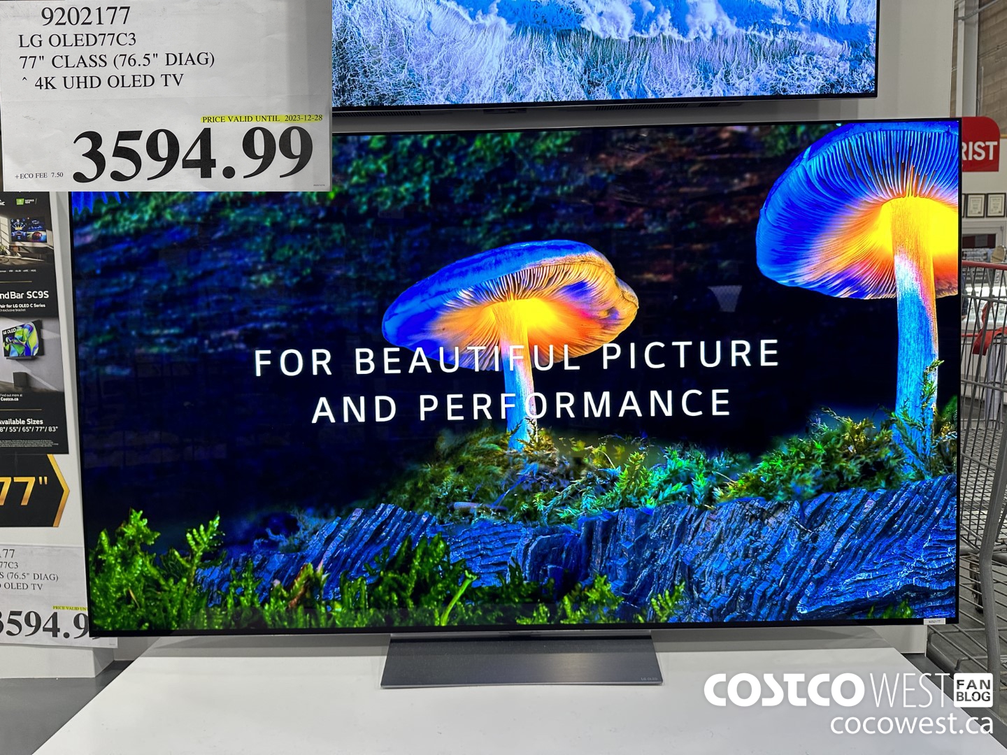 9202177 LG OLED77C3 77