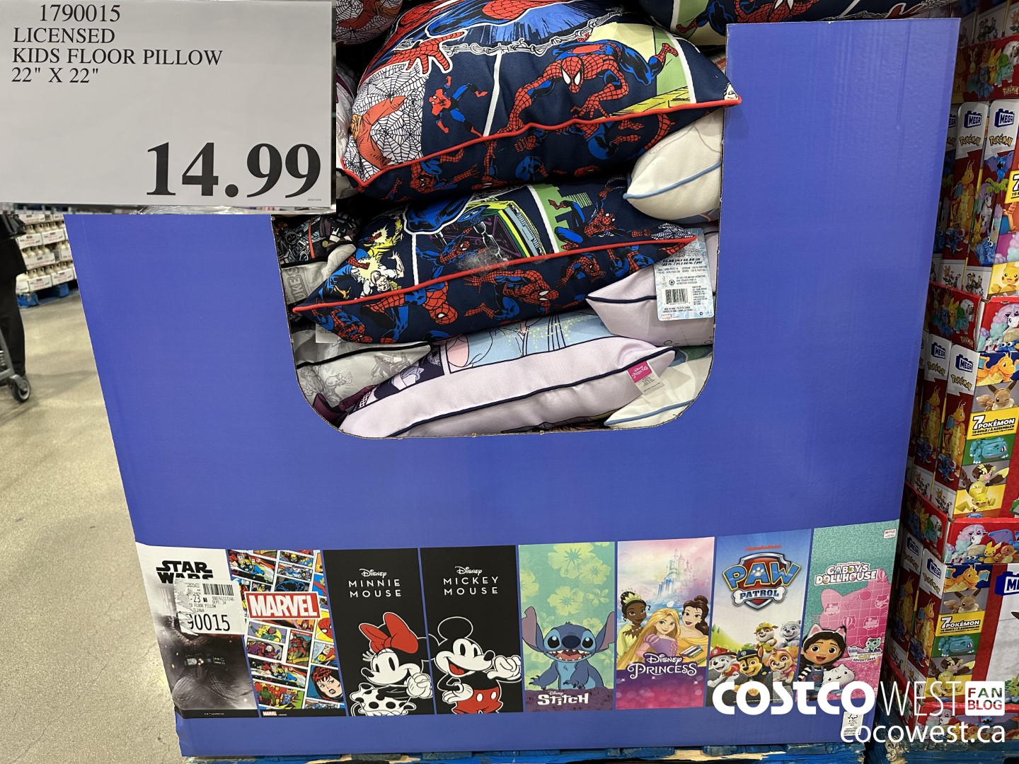 1790015 LICENSED KIDS FLOOR PILLOW 22