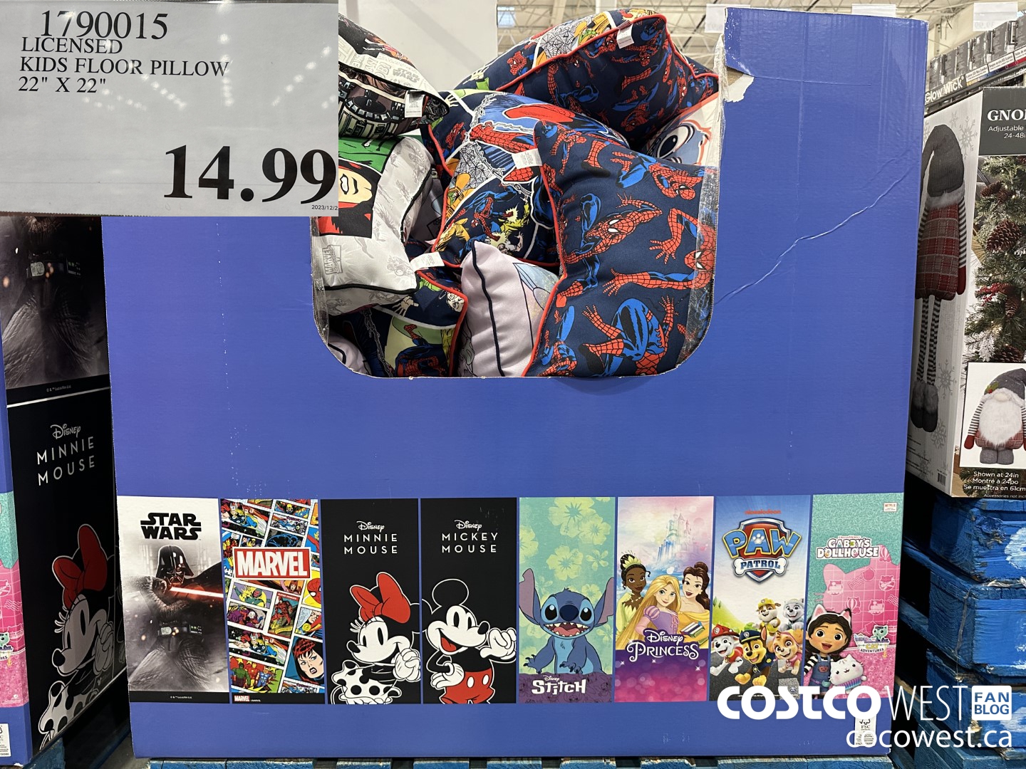 1790015 LICENSED KIDS FLOOR PILLOW 22