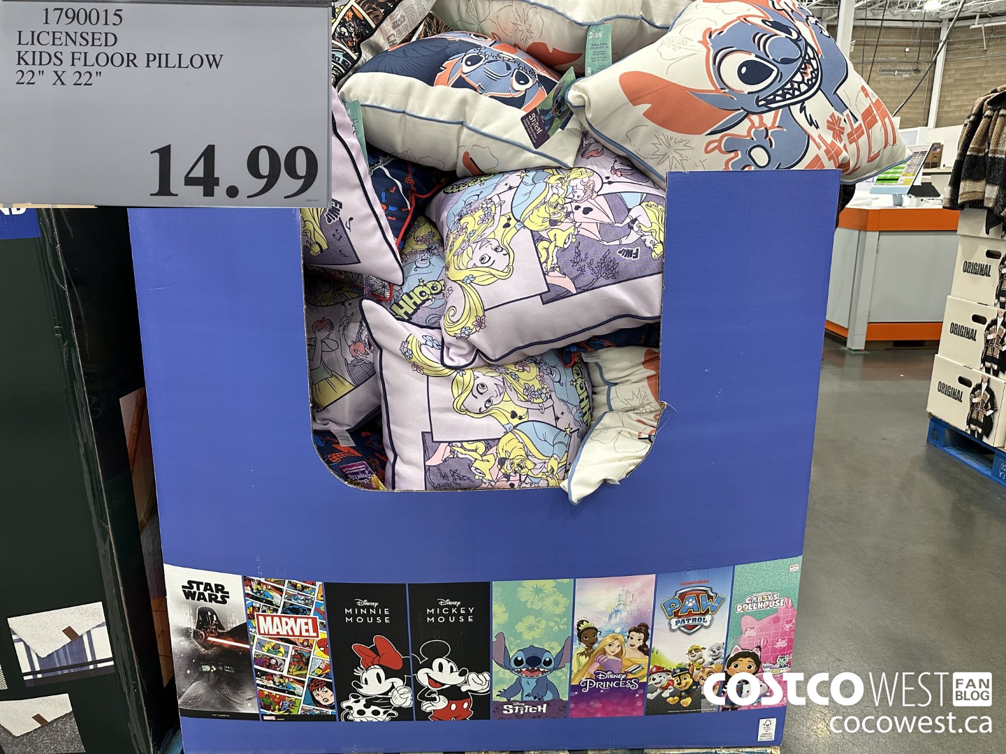 1790015 LICENSED KIDS FLOOR PILLOW 22