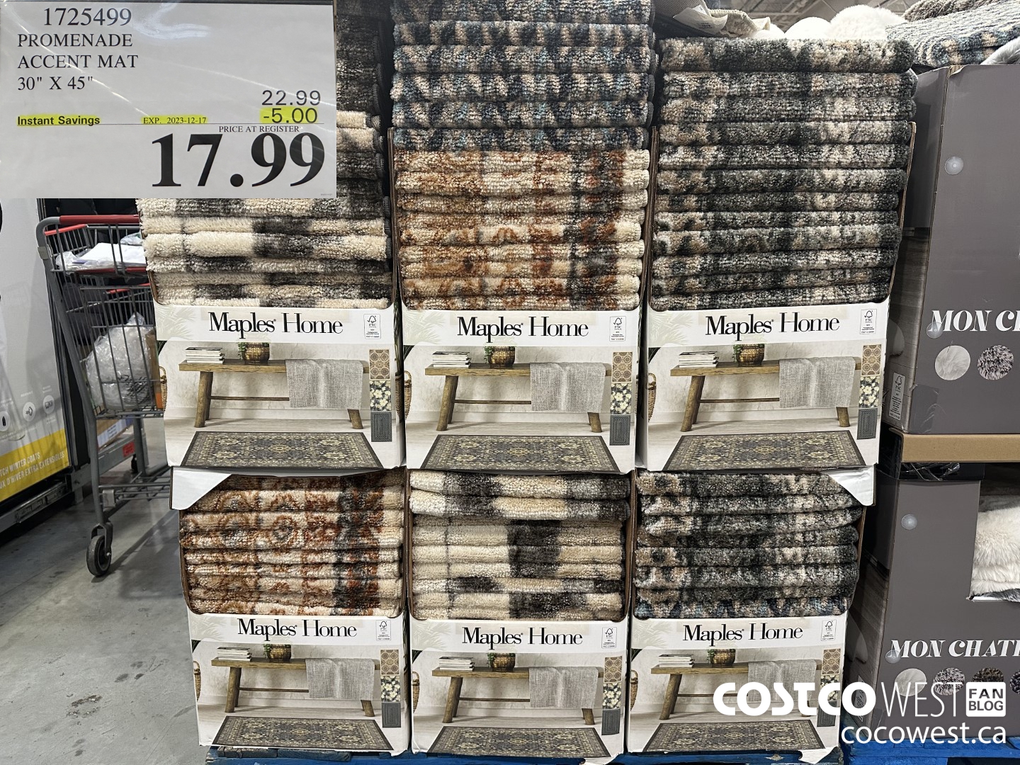 1725499 PROMENADE ACCENT MAT 30