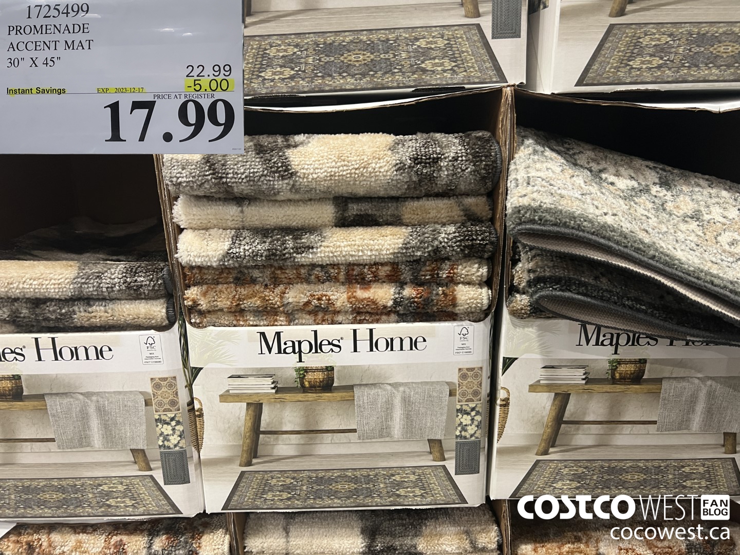 1725499 PROMENADE ACCENT MAT 30