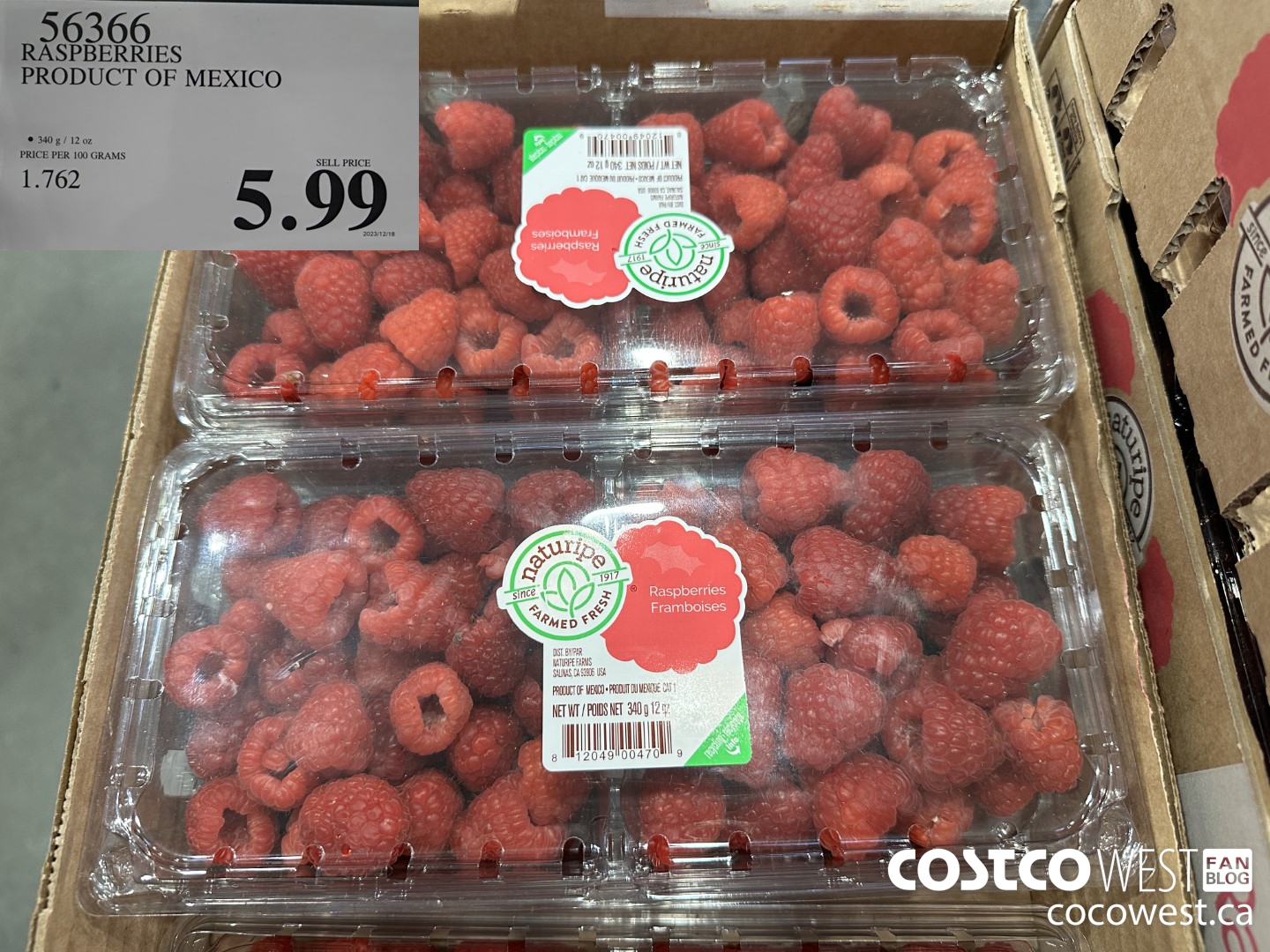56366 RASPBERRIES PRODUCT OF MEXICO $5.99