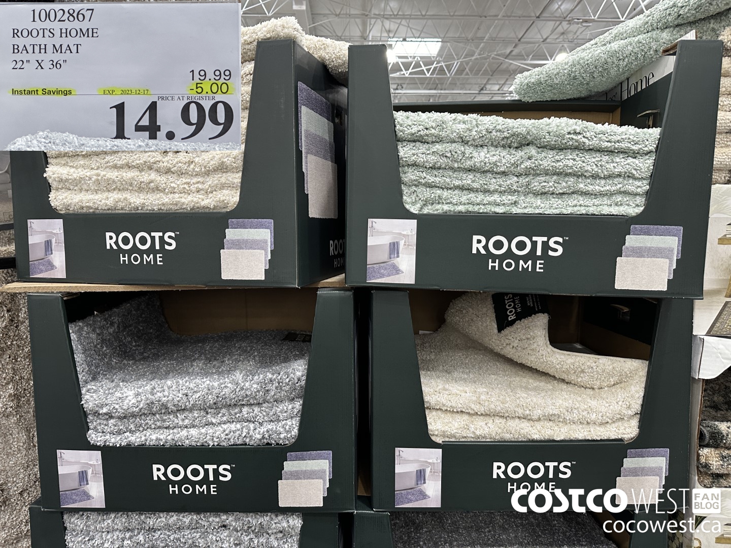 1002867 ROOTS HOME BATH MAT 22