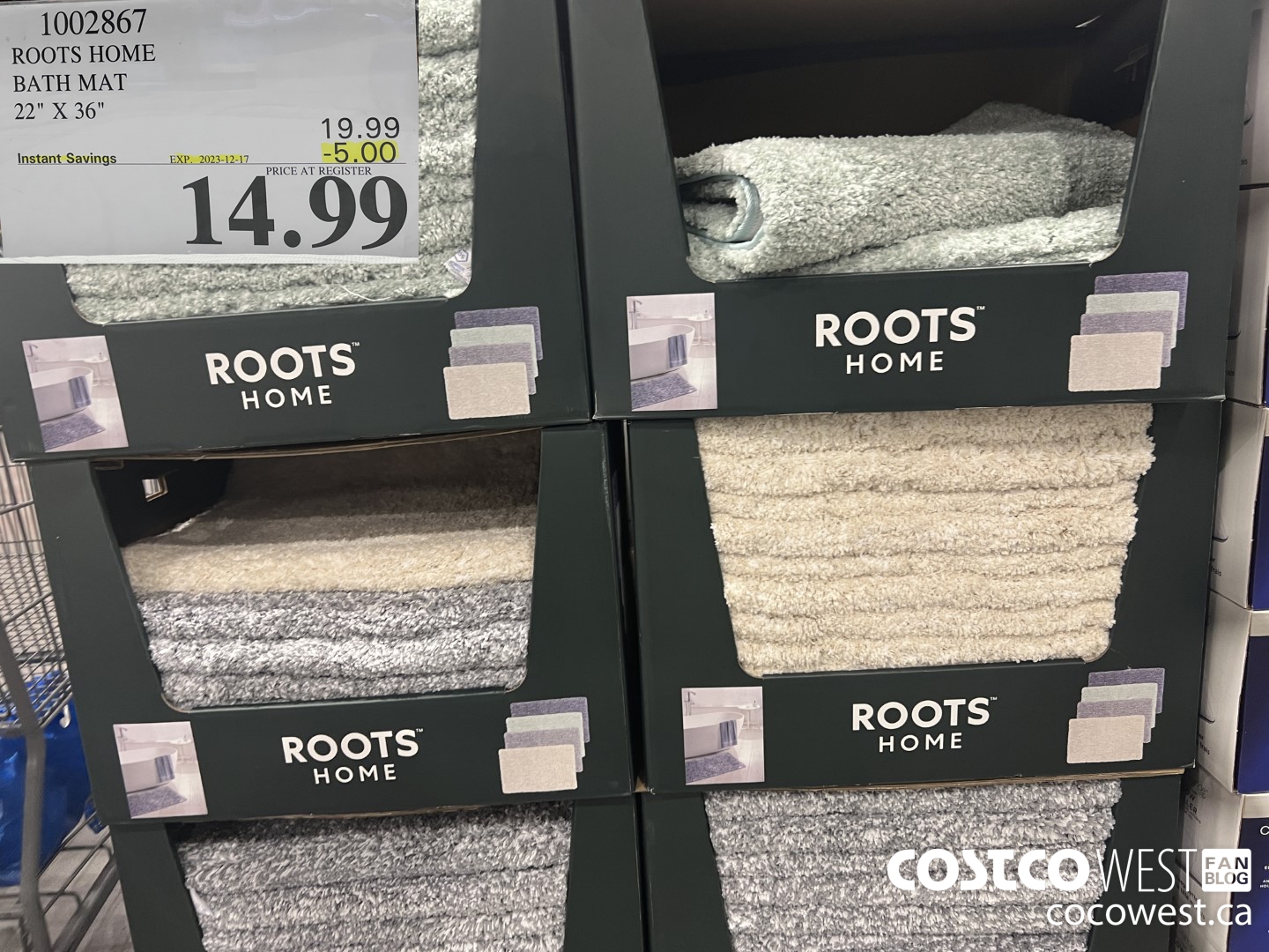 1002867 ROOTS HOME BATH MAT 22