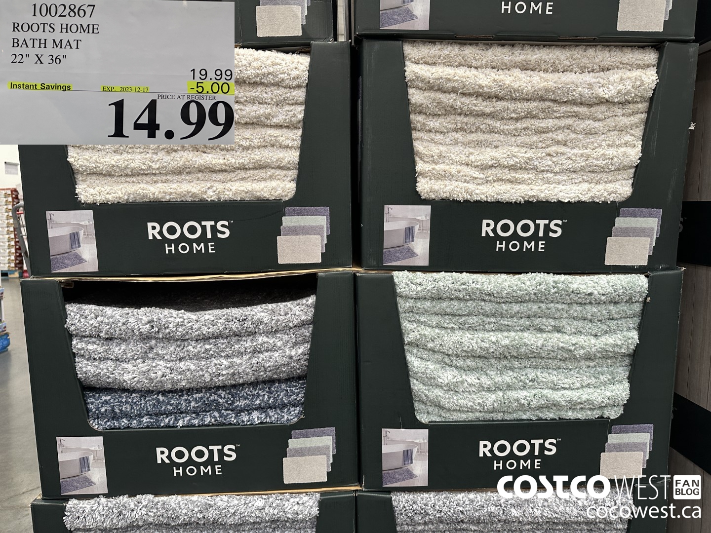 1002867 ROOTS HOME BATH MAT 22