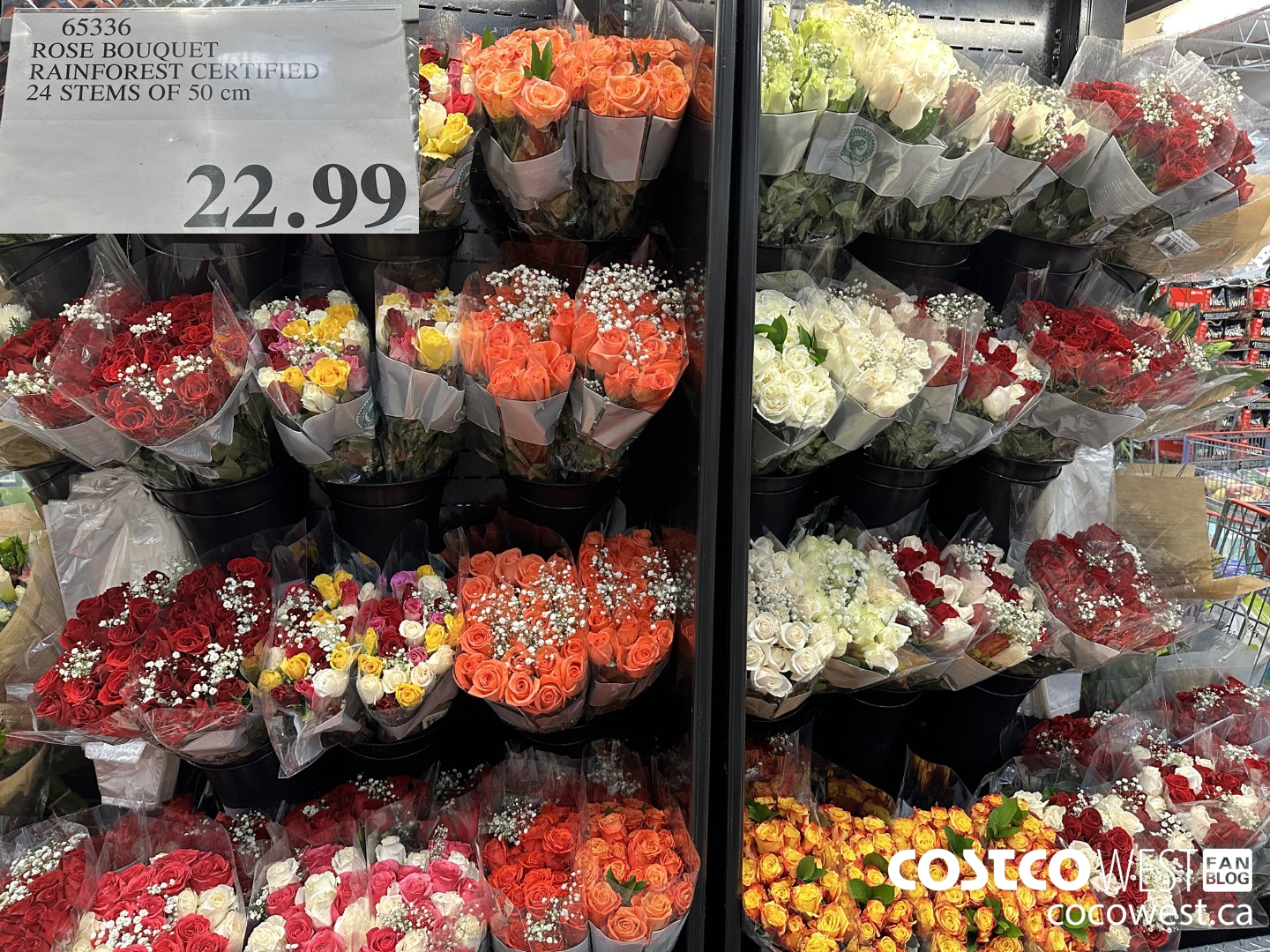 65336 ROSE BOUQUET RAINFOREST CERTIFIED 24 STEMS OF 50 cm $22.99