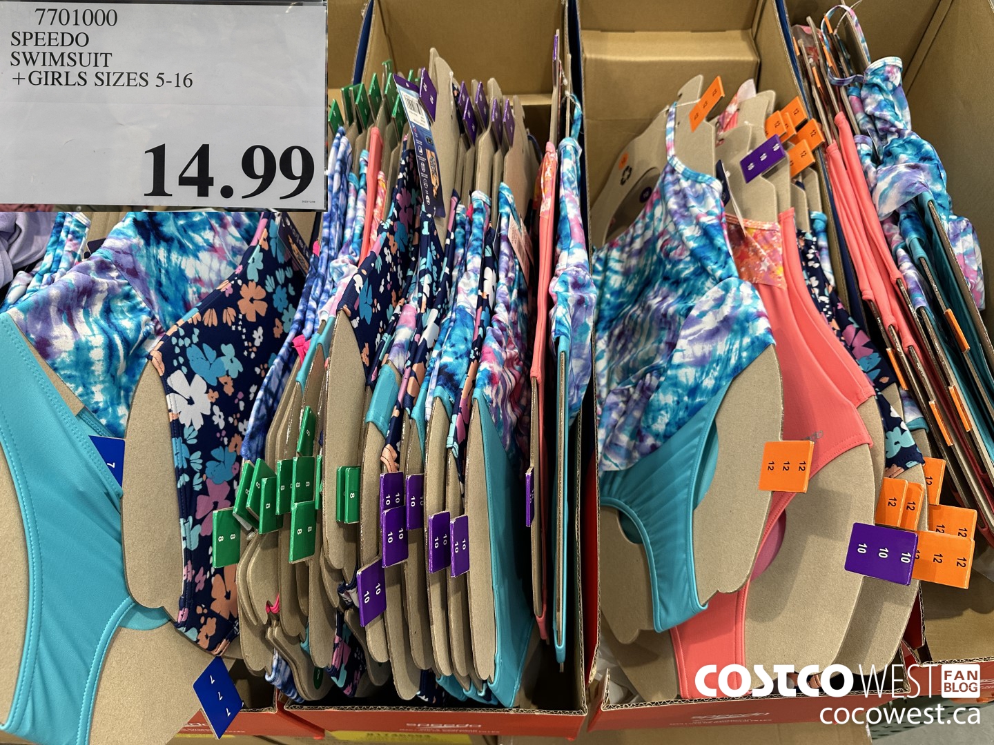 7701000 SPEEDO SWIMSUIT GIRLS SIZES 5-16 $14.99