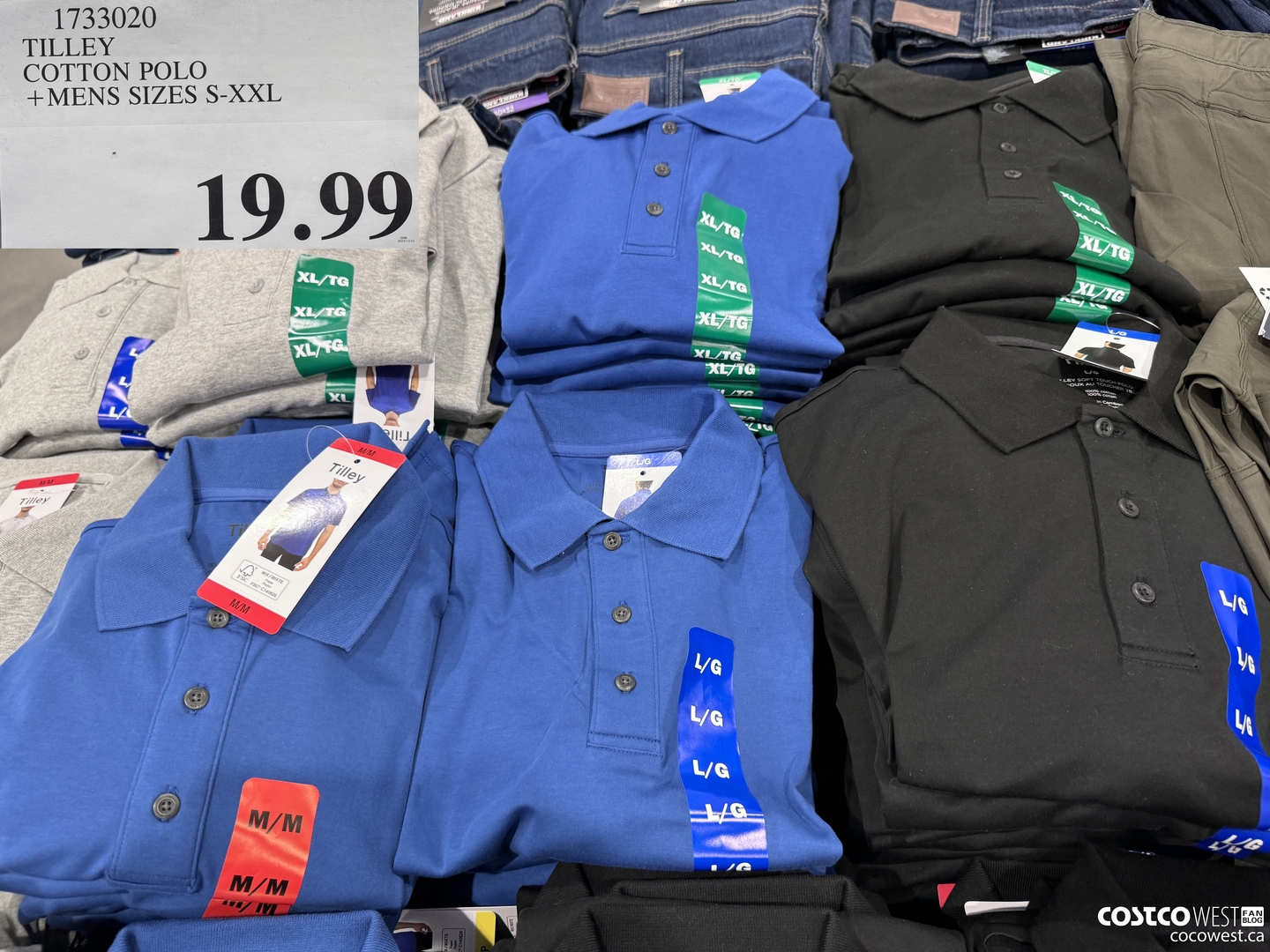 1733020 TIELEY COTTON POLO MENS SIZES S-XXL  $19.99