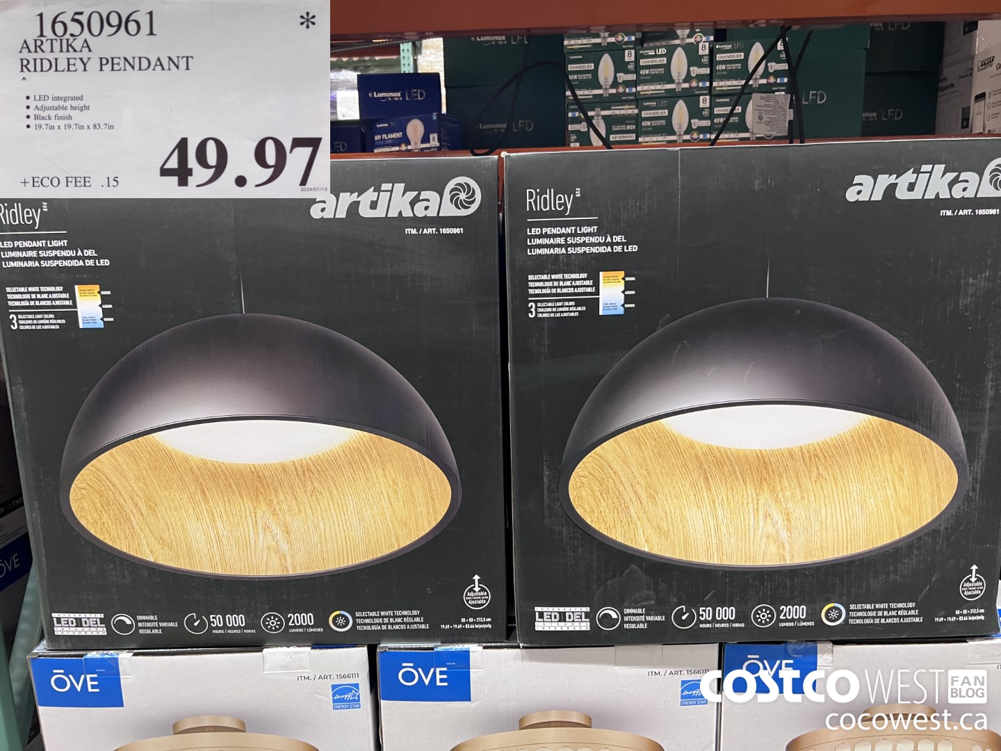 1650961 ARTIKA RIDLEY PENDANT $49.97