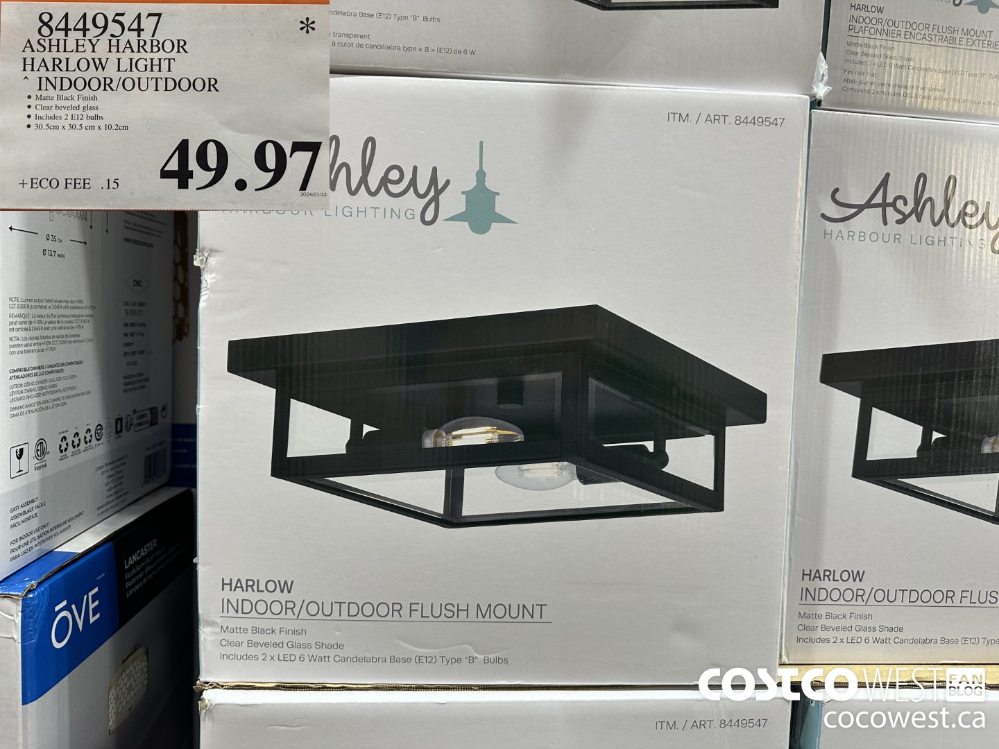 8449547 ASHLEY HARBOR HARLOW INDOOR/OUTDOOR $49.97