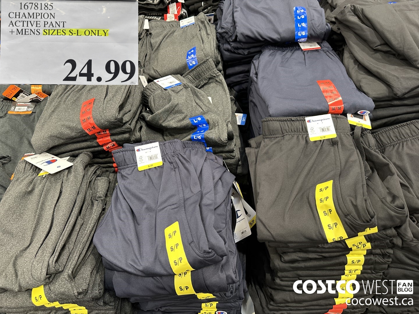 1678185 CHAMPION ACTIVE PANT MENS SIZES S-L ONLY $24.99