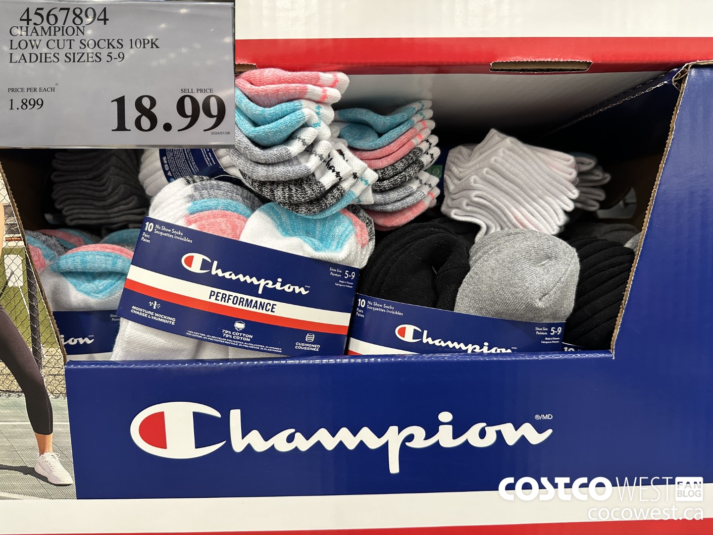 4567894 CHAMPION LOW CUT SOCKS 10PK LADIES SIZES 5-9 $18.99