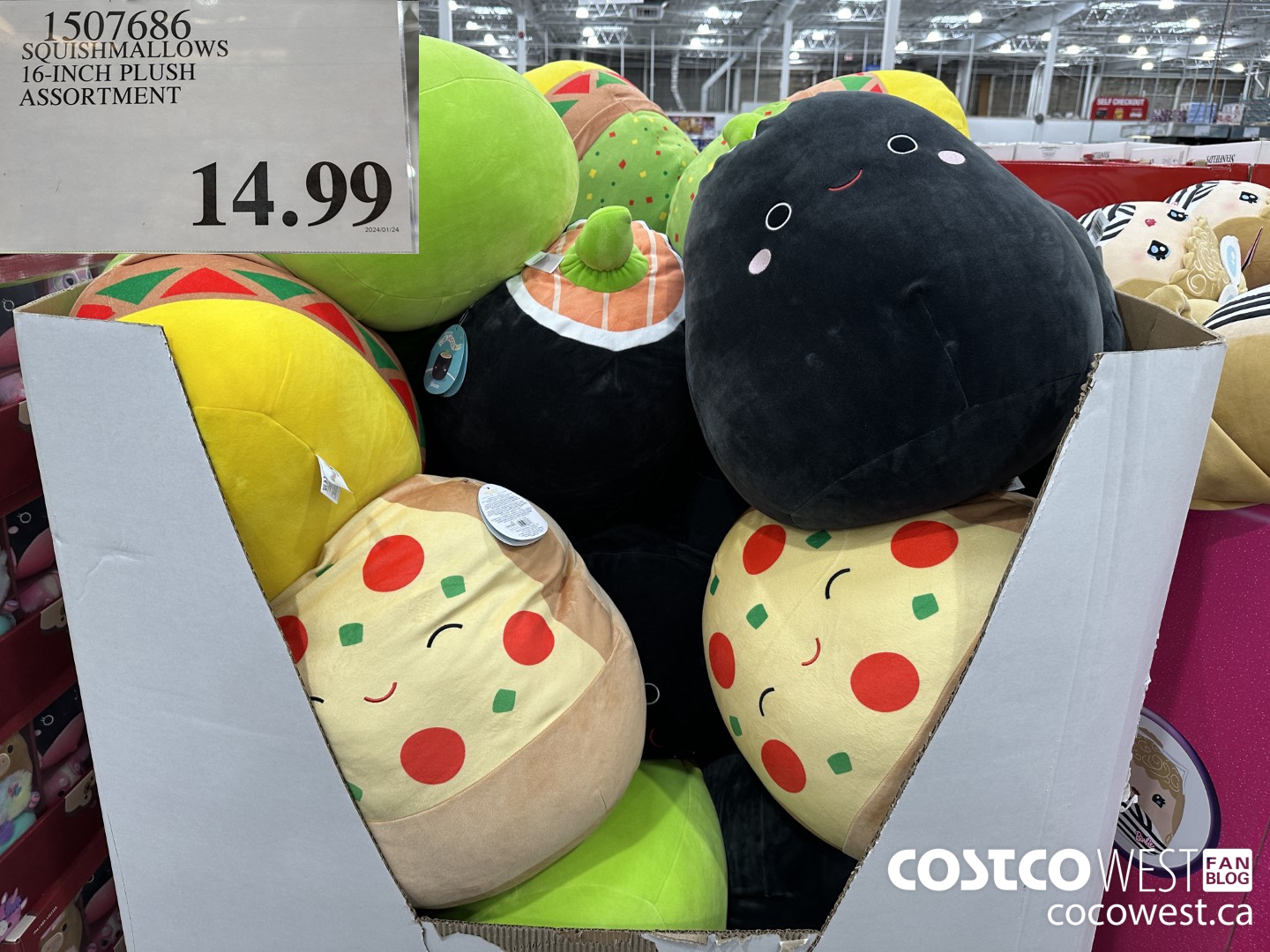 1507686 KELLYTOY SQUISHMALLOWS 16 INCH PLUSH ASSORTMENT $14.99