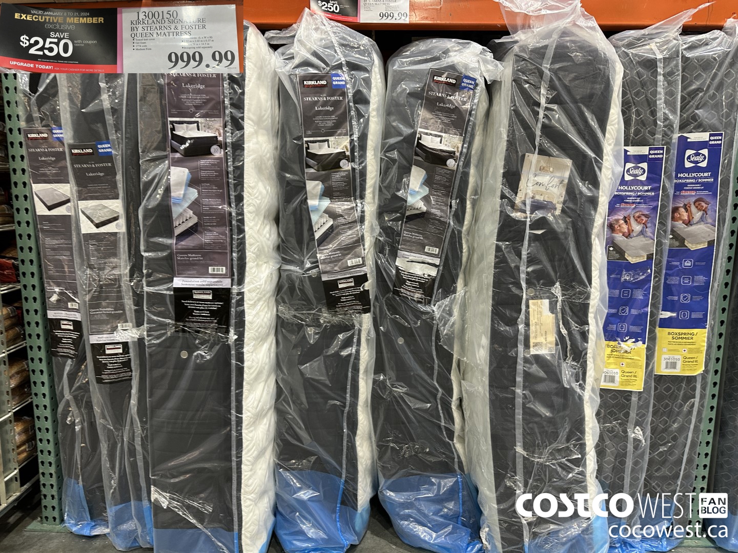 StokApp.com: Buy Costco Stock COST at $561 Now ! They sell an astronomical  number of Bras ! : r/stocks_etfs