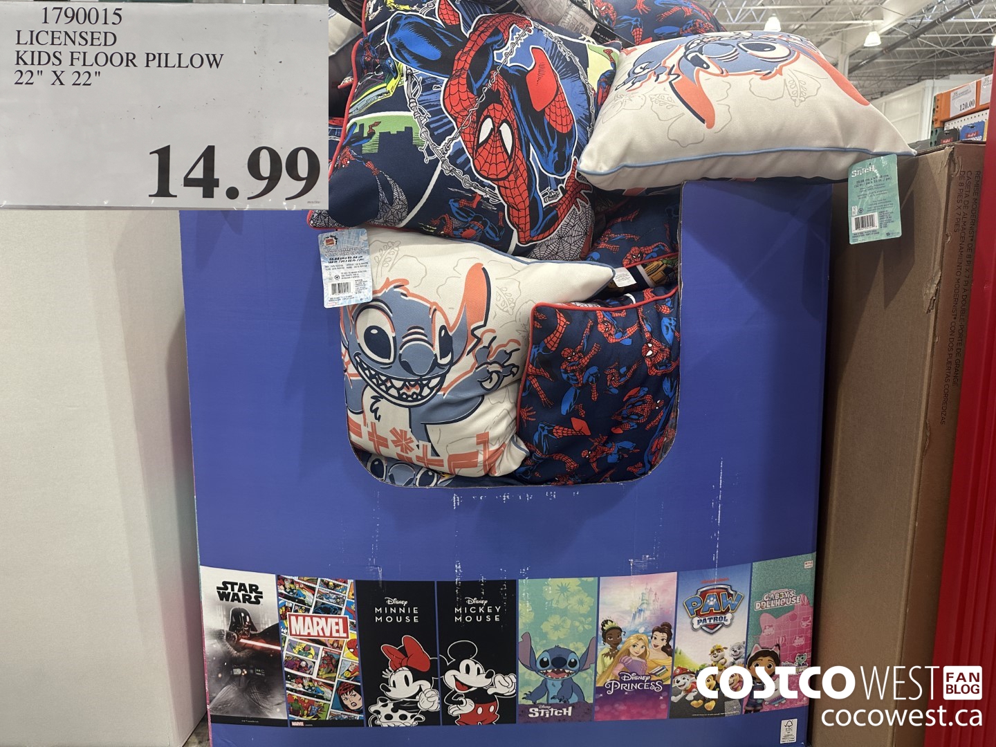 1790015 LICENSED KIDS FLOOR PILLOW 22