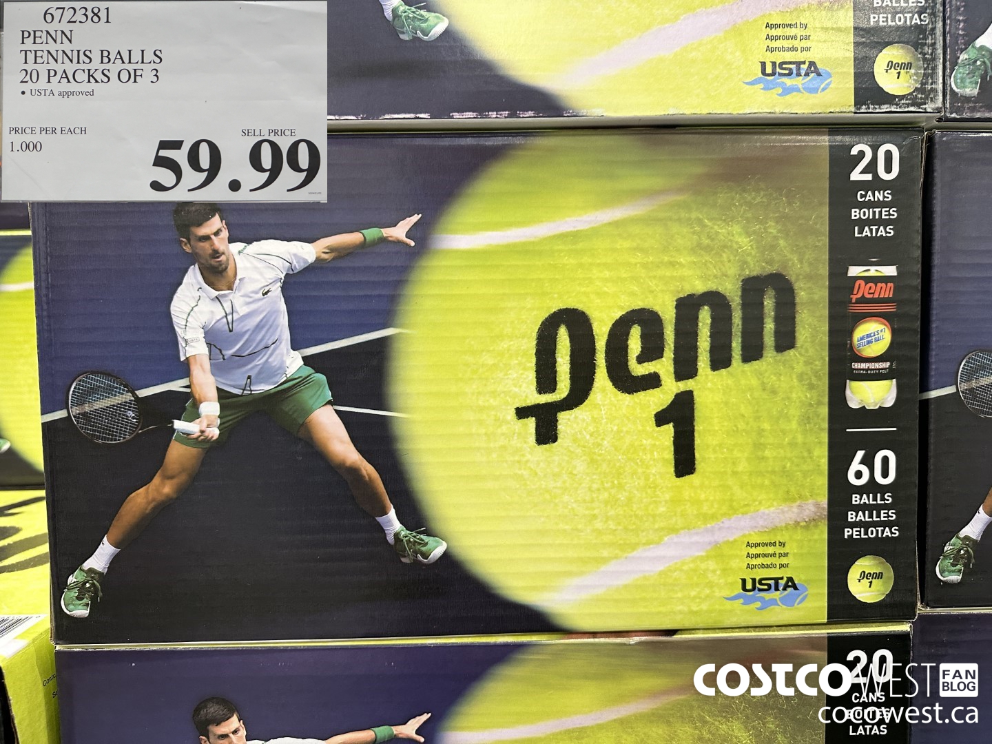 672381 PENN TENNIS BALLS 20 PACKS OF 3 $59.99