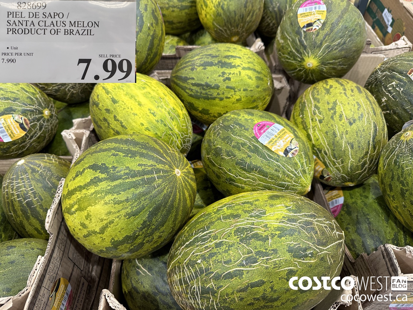 828699 PIEL DE SAPO / SANTA CLAUS MELON PRODUCT OF BRAZIL $7.99