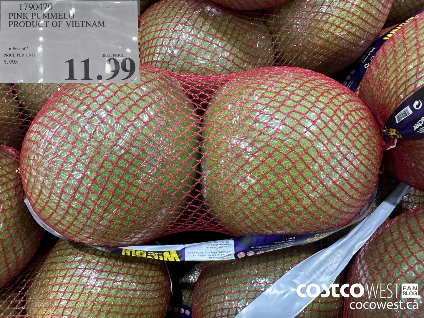 1790470 PINK PUMMELO PRODUCT OF VIETNAM $11.99