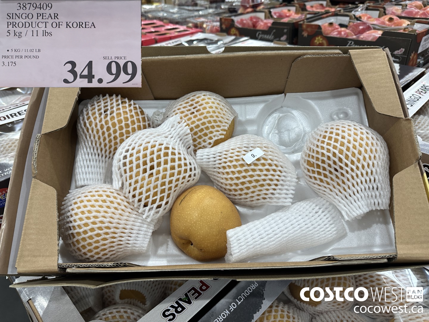 3879409 SINGO PEAR PRODUCT OF KOREA 5 kg / 11 Ibs $34.99