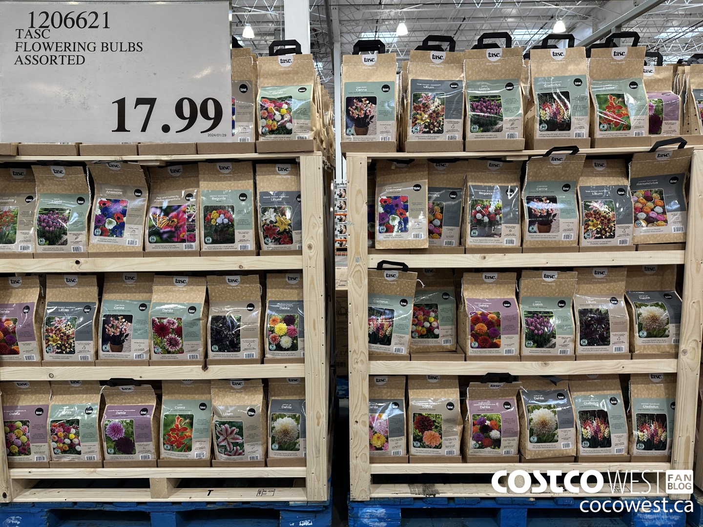 1206621 TASC FLOWERING BULBS ASSORTED $17.99