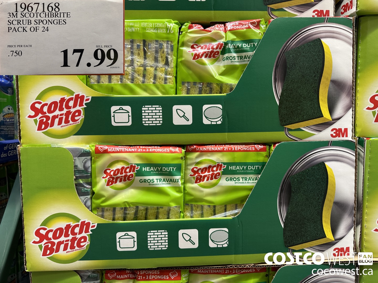 1967168 3M SCOTCHBRITE SCRUB SPONGES PACK OF 24 $17.99