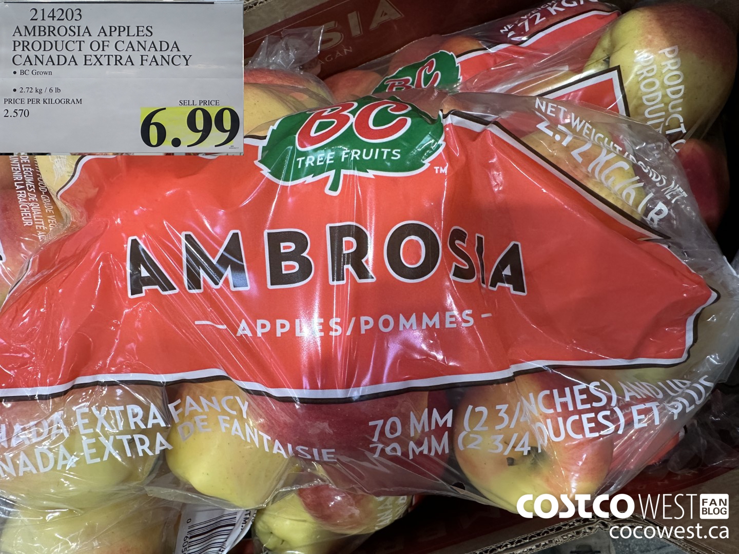 214203 AMBROSIA APPLES PRODUCT OF CANADA EXTRA FANCY $6.99